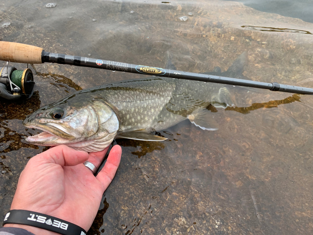 St. Croix - AVID TREK Casting Rod