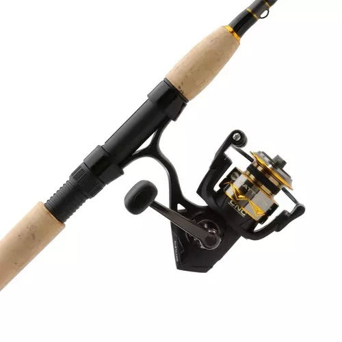PENN Battle IV Combo Rod / Reel