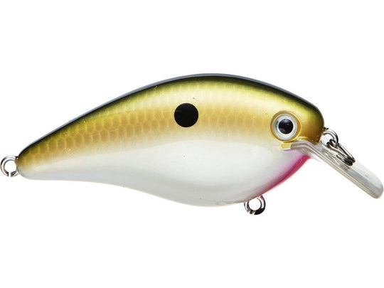 Strike King KVD 1.0 Square Bill Crankbait